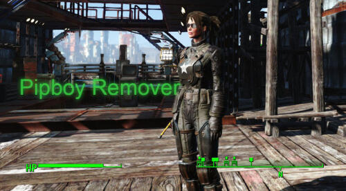 Подробнее о "PipboyRemover"