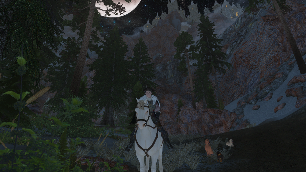 SKYRIM-2022-08-03-23-27-41-53.png.webp.png