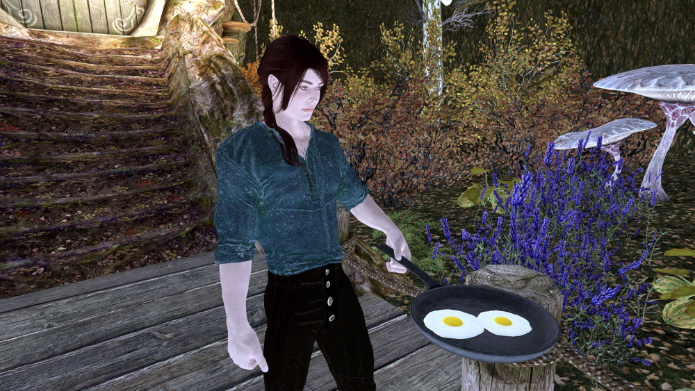 SKYRIM-2022-08-06-20-09-16-84.png.webp.png