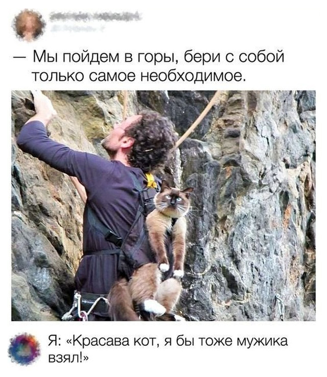 TdNJZ.jpg.jpeg