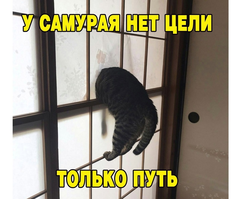 %D0%BA%D0%B0%D1%80%D1%82%D0%B8%D0%BD%D0%BA%D0%B8-%D1%81-%D0%BD%D0%B0%D0%B4%D0%BF%D0%B8%D1%81%D1%8F%D0%BC%D0%B8-%D0%BA%D0%BE%D1%8.jpeg