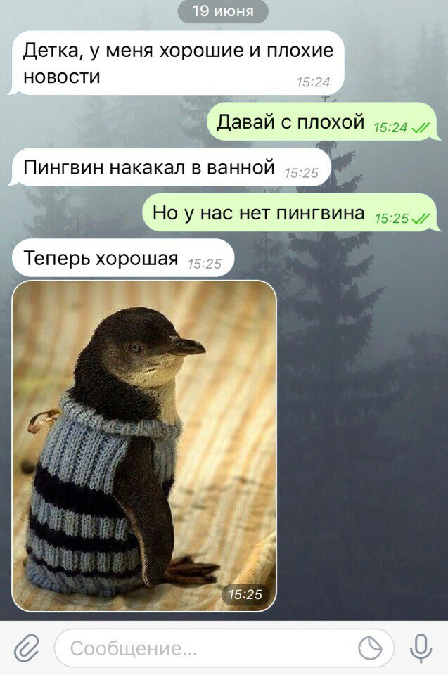 1529504172134366841.jpg.jpeg