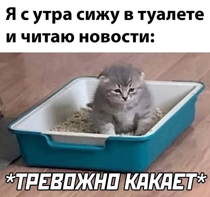 164636170917787108.webp