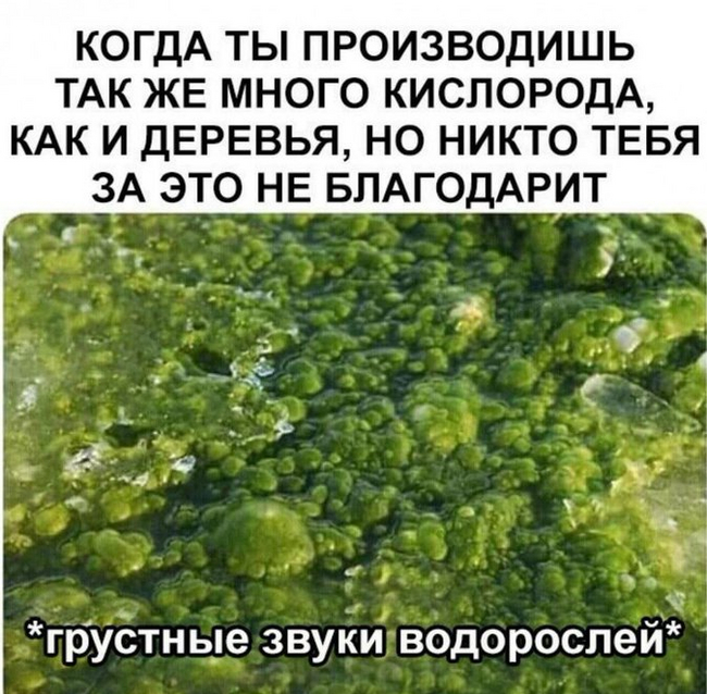 166361199313006474.jpg.jpeg