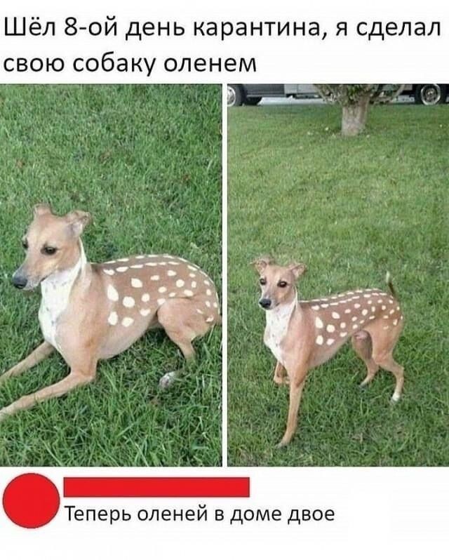 1663666000116672043.jpg.jpeg
