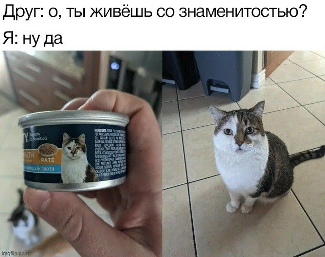 1664177725166976629.jpg.jpeg