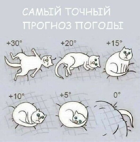 166425644617123900.jpg.jpeg