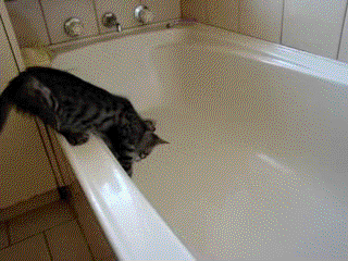5c6db88321cc73a890ef9c70ee6f09a9.gif