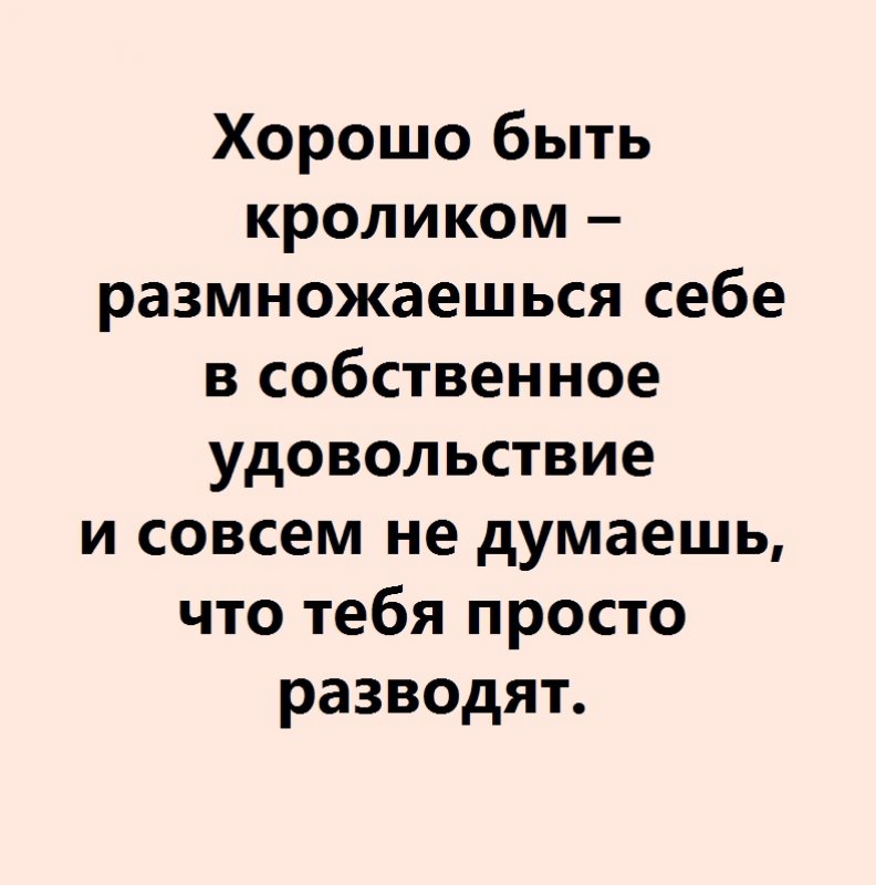 62b517718dd07.jpg.jpeg
