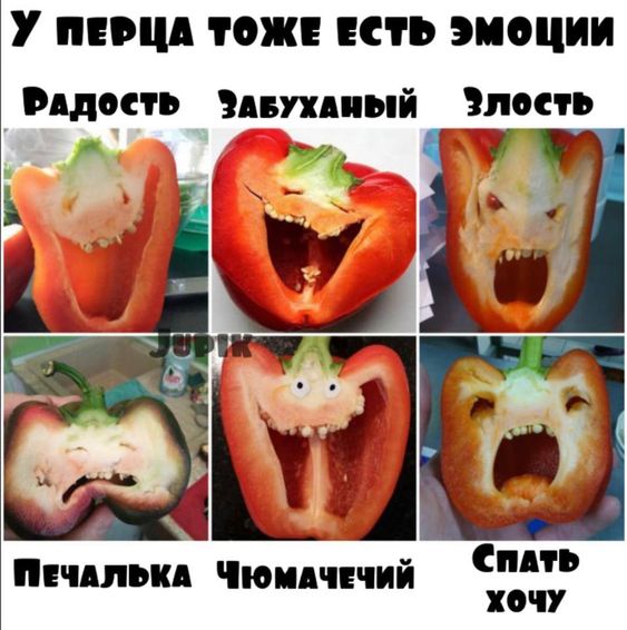 858161985431505726.jpg.jpeg