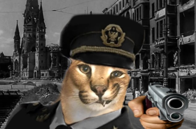 b9edPA8.jpg.jpeg