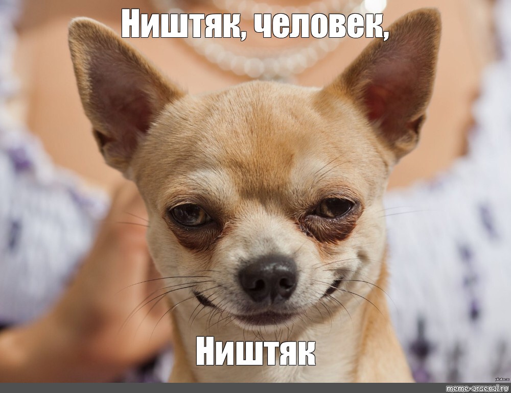 dad5a414d5c6f3aab61d6162bb85130b.jpg.jpeg