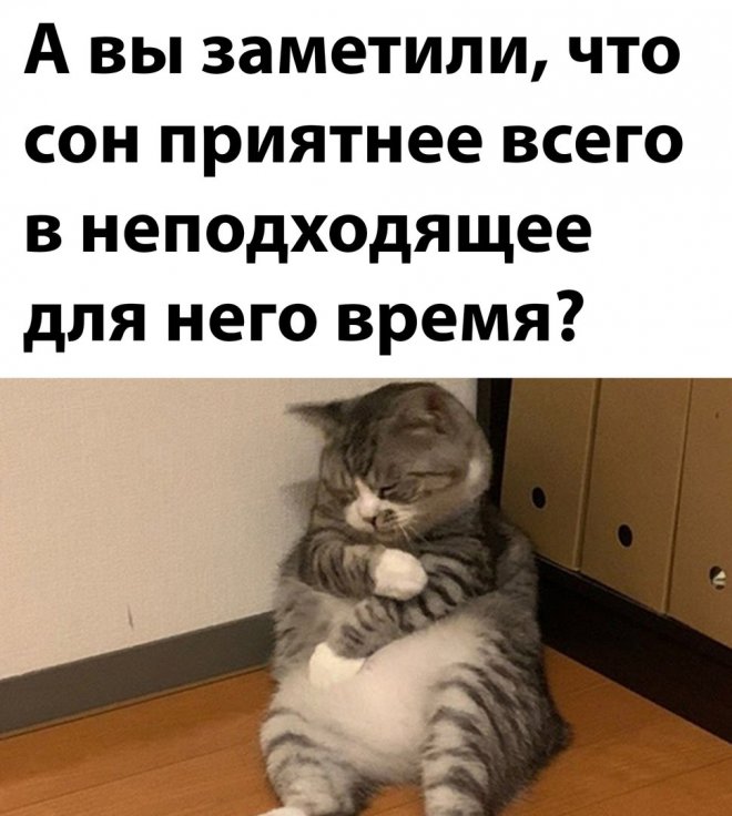 e1b5c262.jpg.jpeg