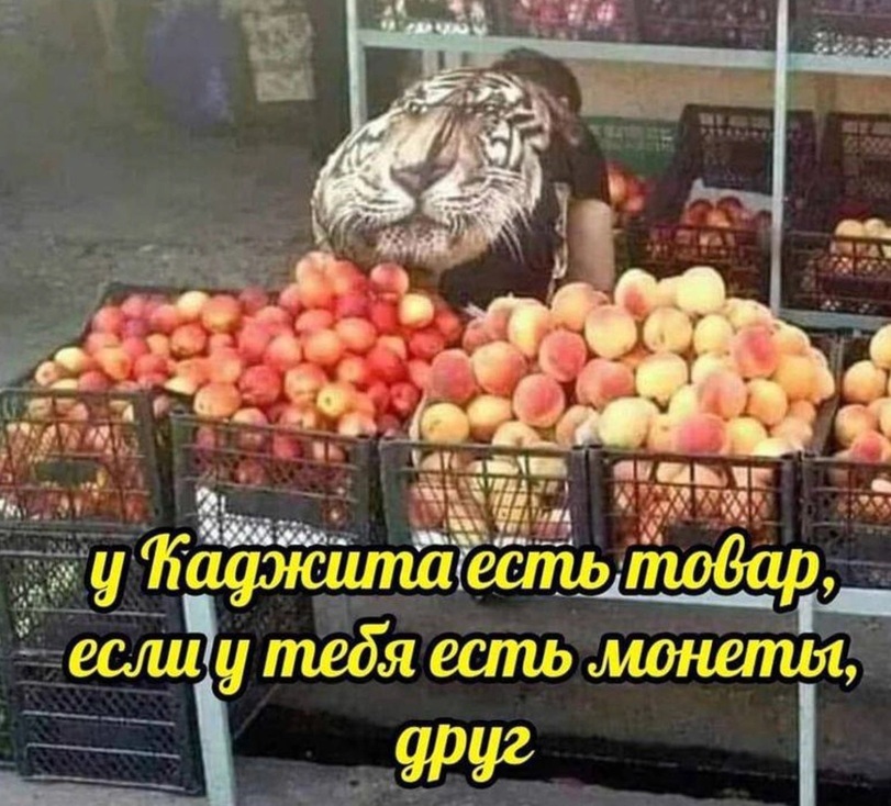 jpg.jpeg