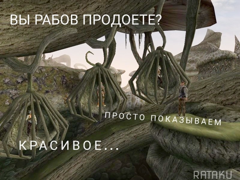 QW01-UUaEh0.jpg.jpeg