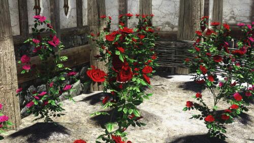 Подробнее о "Розы Памяти для Hearthfire"