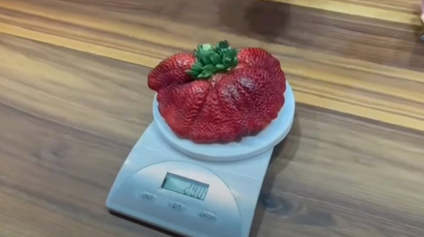 000029_1645019413_485145_big.jpg.jpeg
