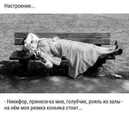 1056318_900.jpg.jpeg