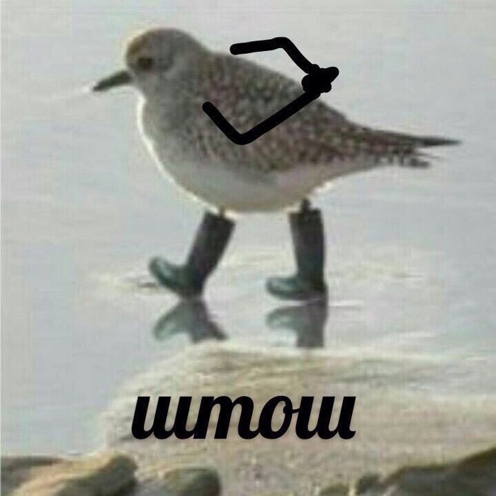 1504941461117798636.jpg.jpeg
