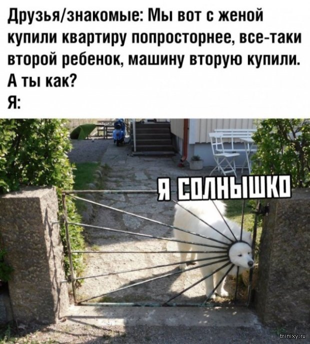 1556775786_kartinki_09.jpg.jpeg