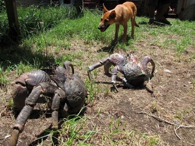 1567759685-4.jpg.jpeg