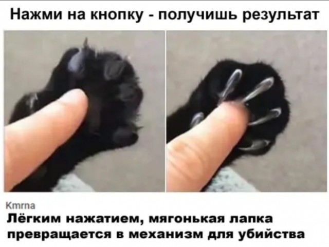 1600282630_14740192.jpg.jpeg