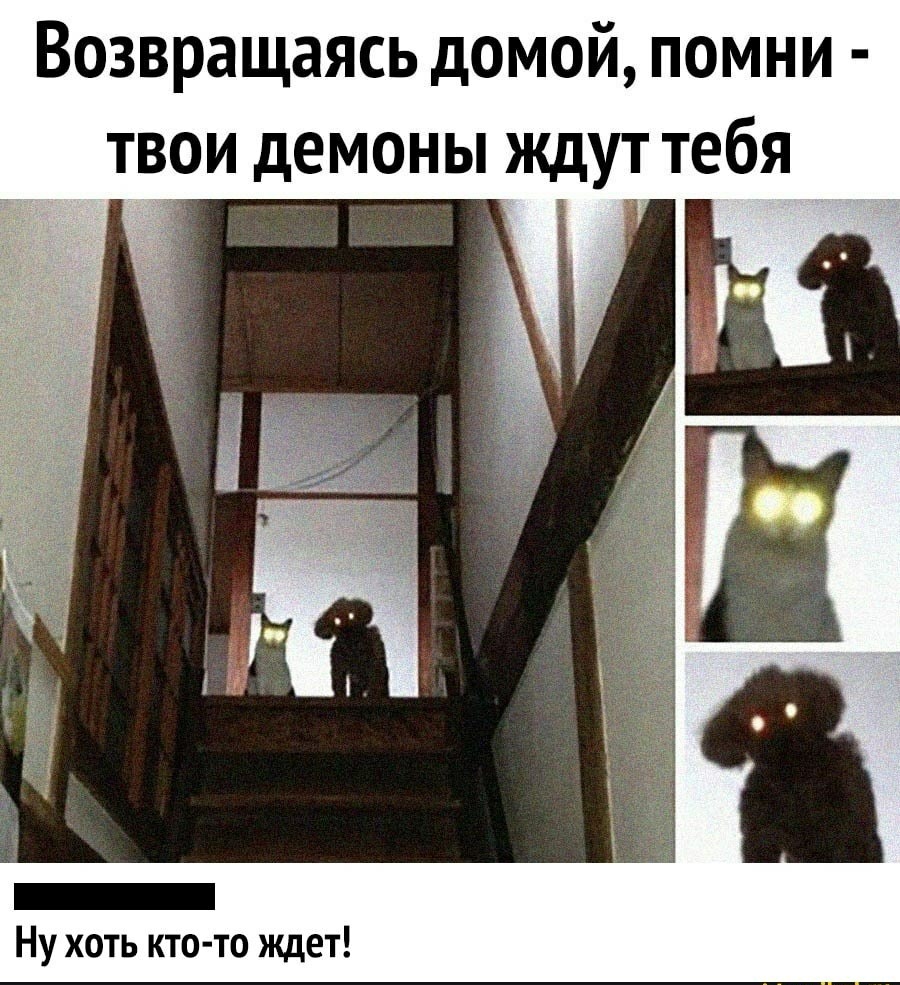 1603307638158632060.jpg.jpeg