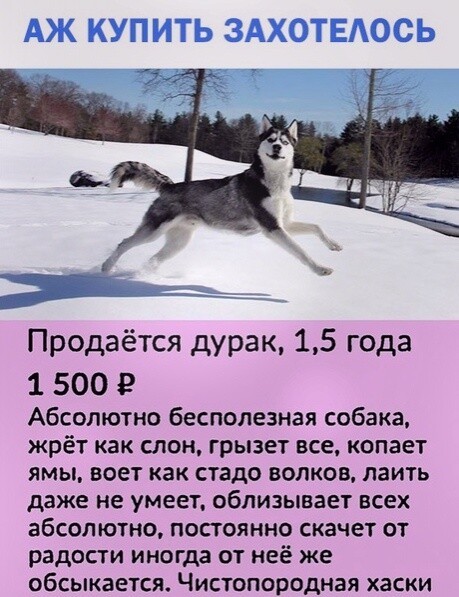 1608915503111812692.jpg.jpeg
