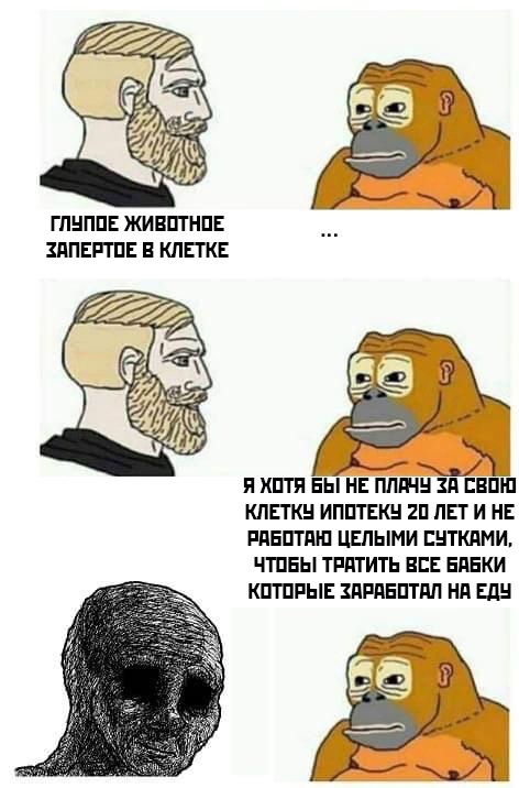 1620751753117394552.jpg.jpeg