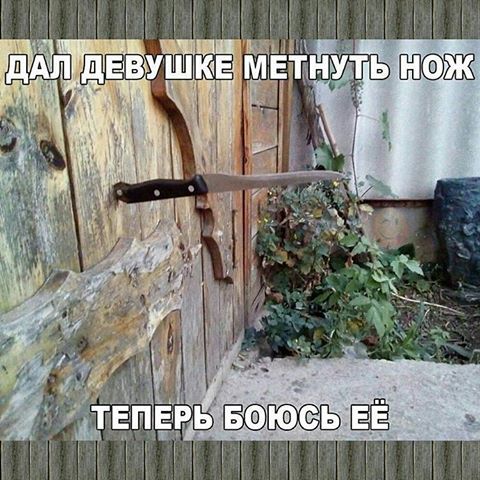 16285277.jpeg