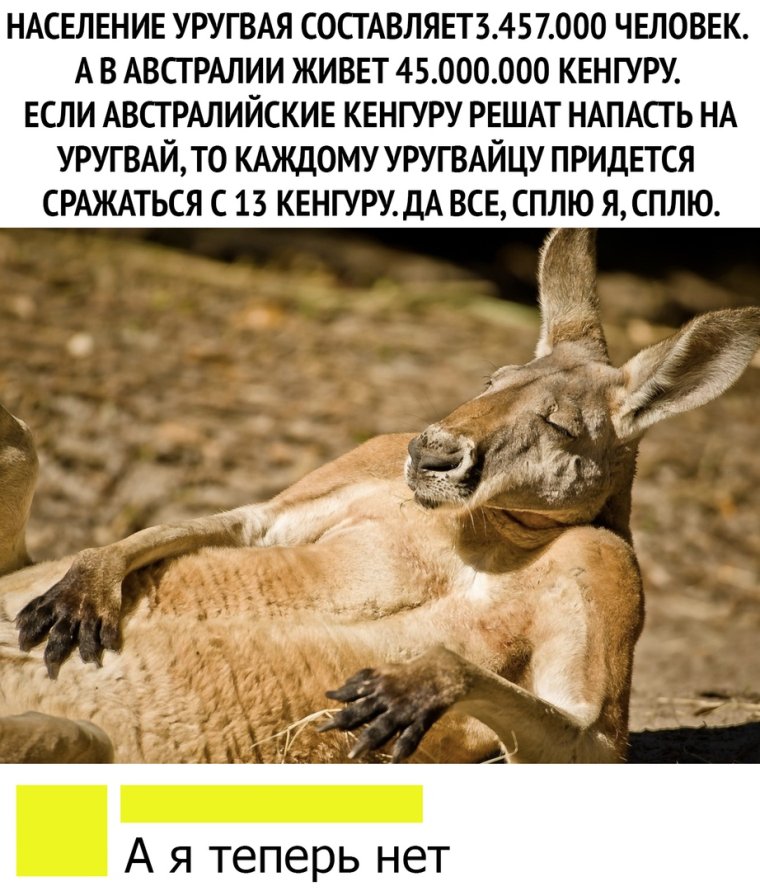 1646877436_32-krot-info-p-kenguru-prikol-smeshnie-foto-38.jpg.jpeg