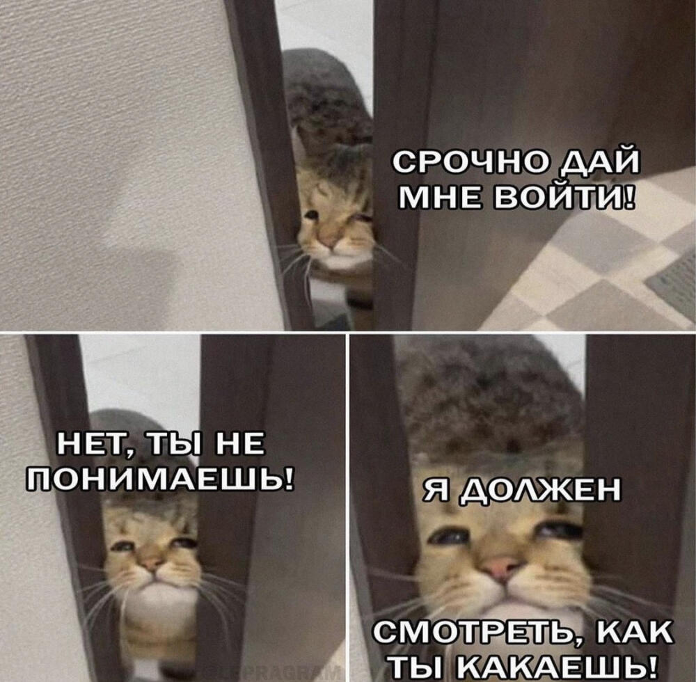 1659380998183441829.jpg.jpeg