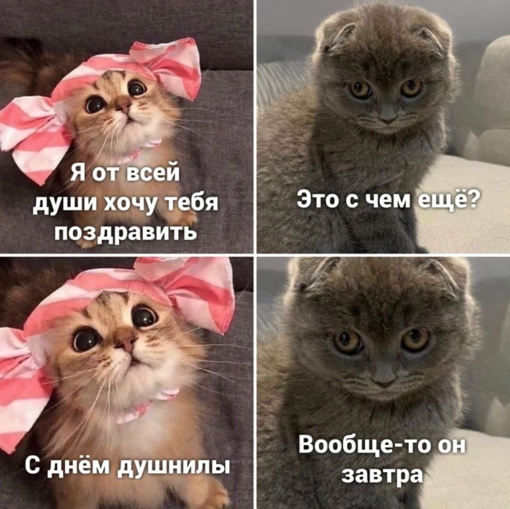 166153500518961252.png.webp.png