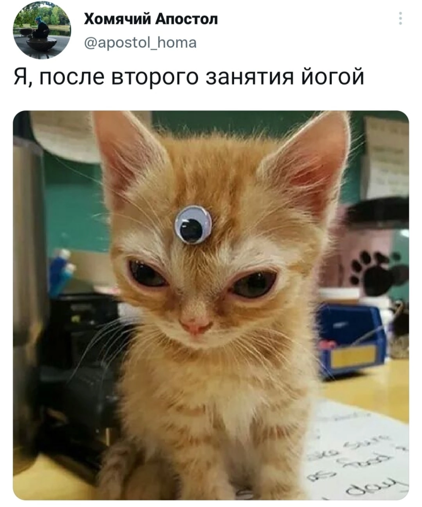 166219614123273536.png.webp.png