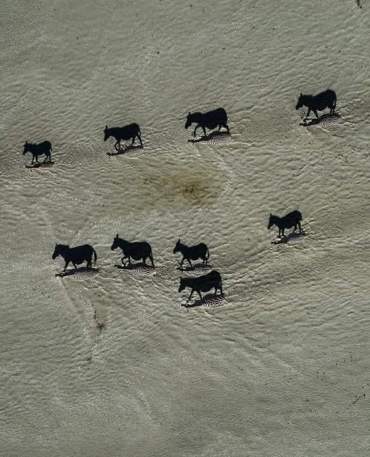 1664081435146679702.jpg.jpeg