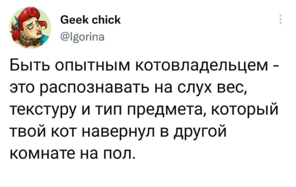 1665405487159396409.png.webp.png