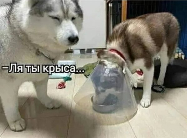 166637425619986353.jpg.jpeg
