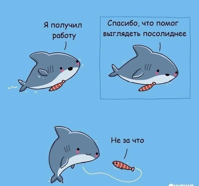 1666722537162133951.jpg.jpeg