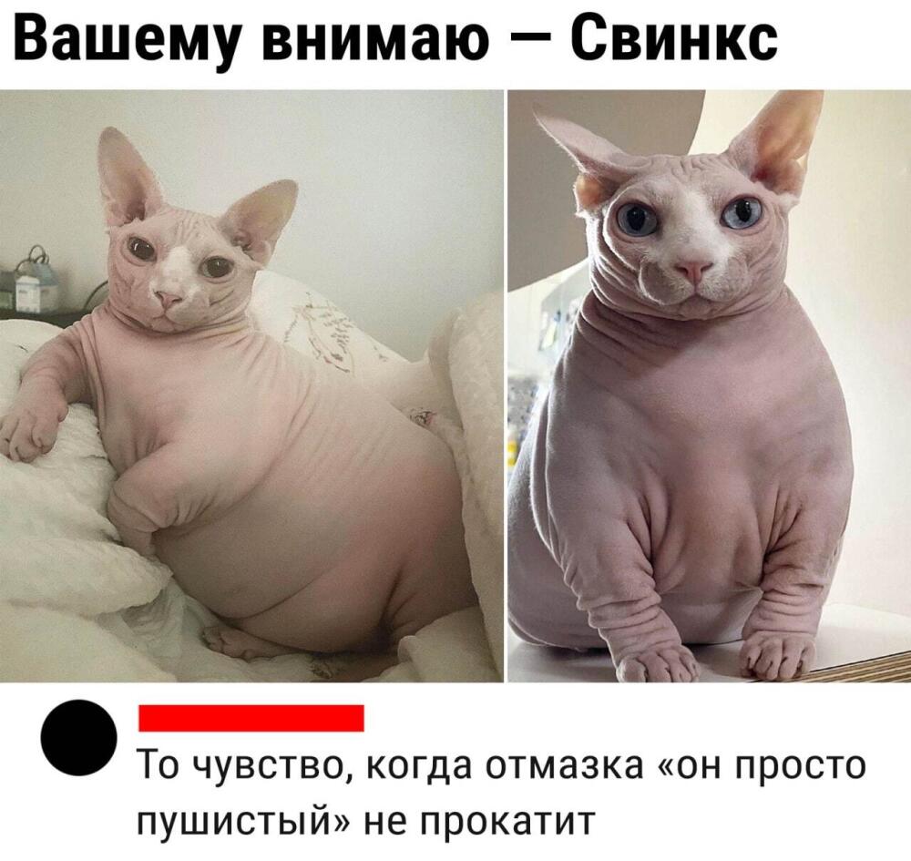 166685166319884140.jpg.jpeg