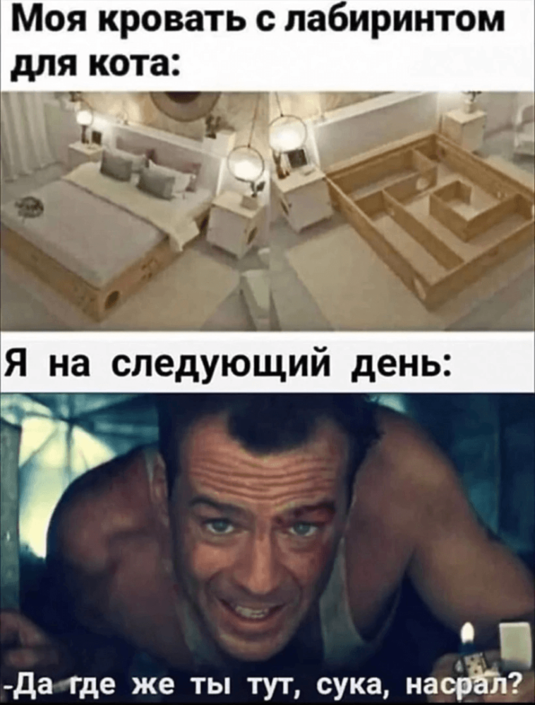 1667056011168247944.png.webp.png
