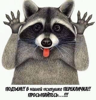 41a9b06519969a657ea05b5837be3109.jpg.jpeg