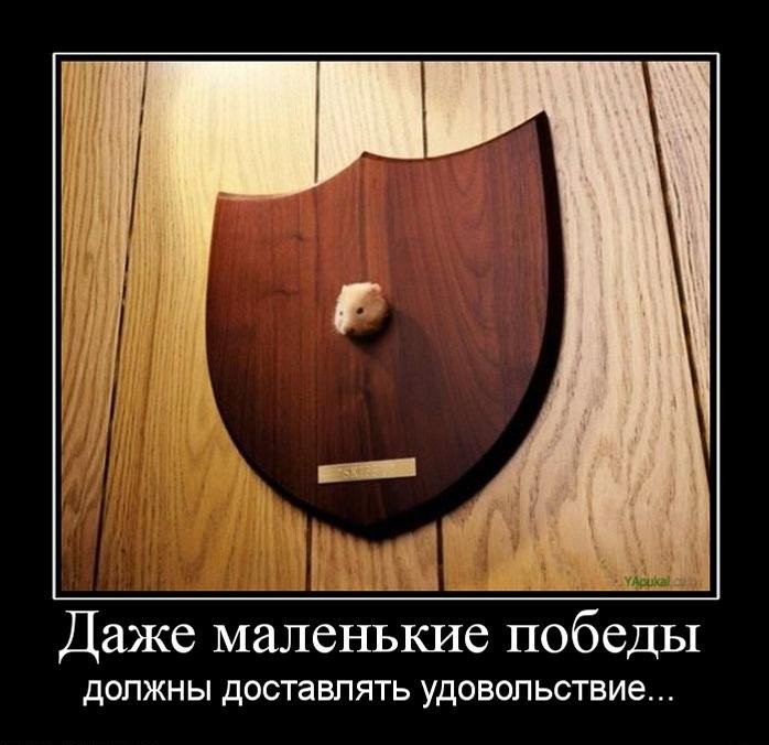 554338849692295642.jpg.jpeg