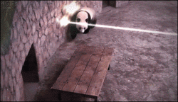 action-panda.gif