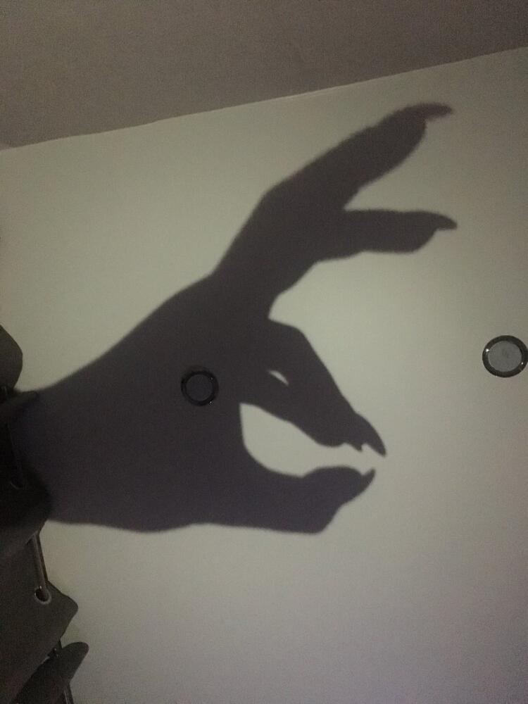 Dx6OcbdX4AAOot2.jpg.jpeg