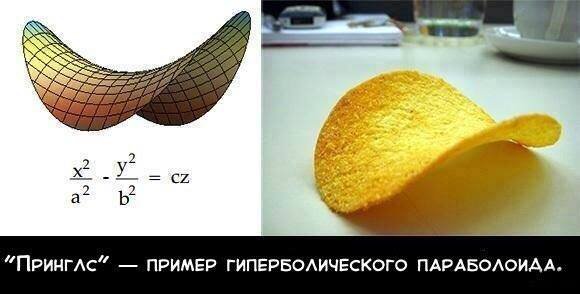 jumor_na_nauchnye_temy_20_foto_2.jpg.jpeg