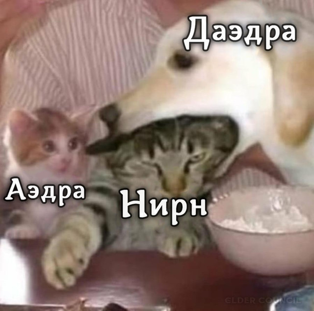 KNZE.jpg.jpeg