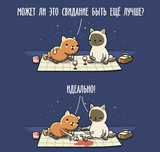 %D0%BA%D0%BE%D1%82%D1%8D-%D0%BA%D0%B0%D1%80%D1%82%D0%B8%D0%BD%D0%BA%D0%B8-7630547.jpeg