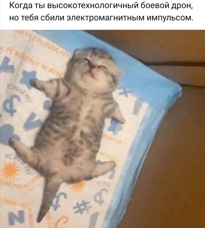%D0%BA%D0%BE%D1%82%D1%8D-%D0%BA%D0%B2%D0%B0%D0%B4%D1%80%D0%BE%D0%BA%D0%BE%D0%BF%D1%82%D0%B5%D1%80-7635941.jpeg
