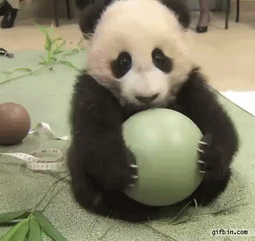 panda-ball.webp