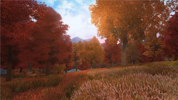 Autumn landscape